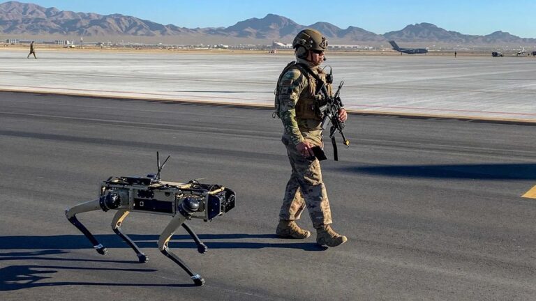 Ülke sınırları, robot köpeklere emanet!