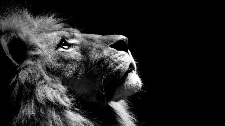 Siyah beyaz fotoğraf renklendirme nasıl yapılır?