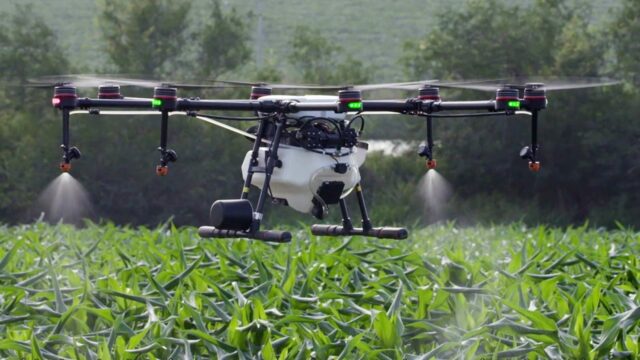 Bakan Varank duyurdu: Tarım arazileri drone ile ücretsiz ilaçlandı!