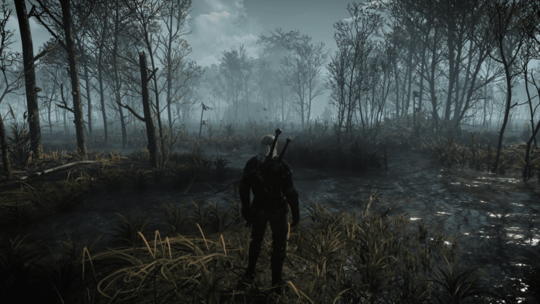 The Witcher 3, 8K grafik moduyla görenleri hayran bıraktı!