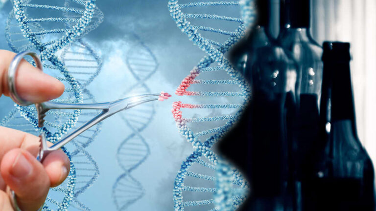 Bilim kurgu filmlerinden gerçeğe: Alkolizme çare gen değiştirme