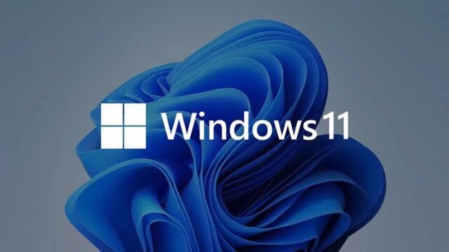 Windows 11 gizlilik özelliği
