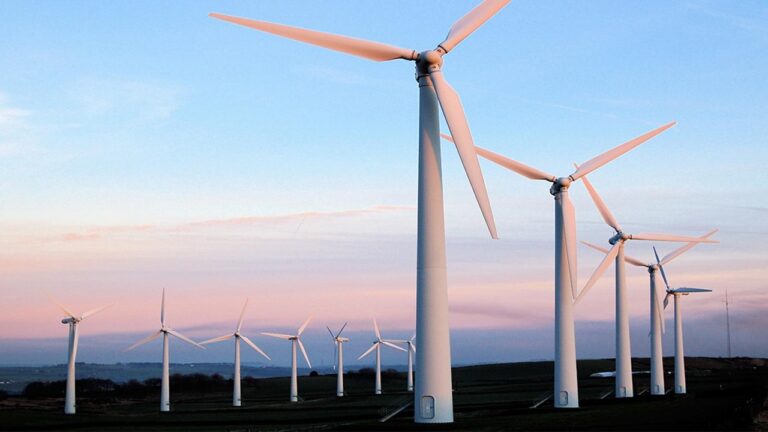 Yenilenebilir enerji sanıldığı kadar çevreci değil