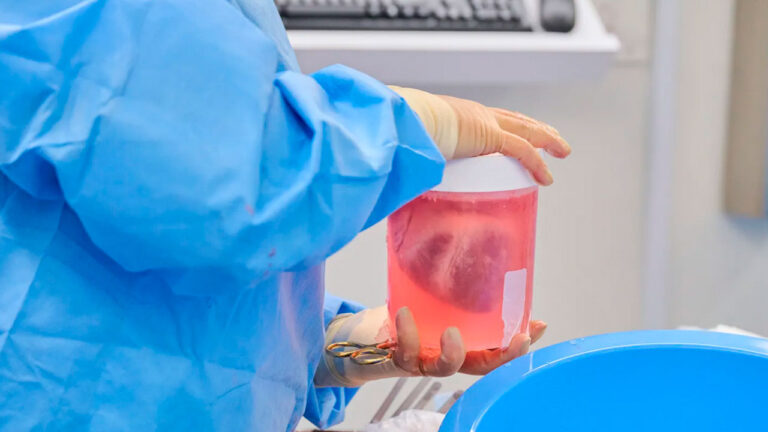 Genetiği değiştirilmiş hayvan kalbi ölü bir insana takıldı!