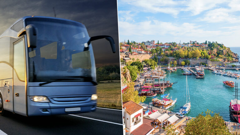 Uçak ve otobüs biletlerine yoğun talep: İşte rakamlar