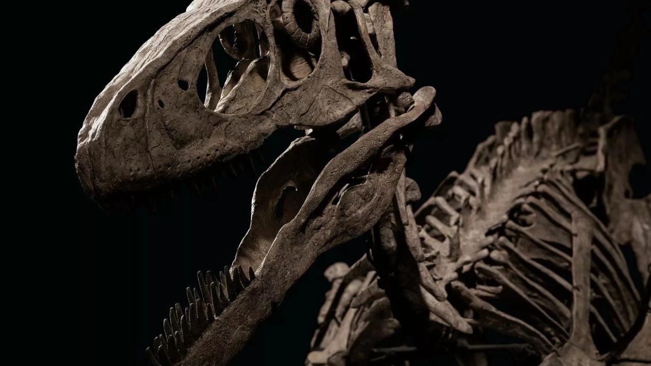 https://shiftdelete.net/wp-content/uploads/2022/08/113-milyon-yillik-dinozor-ayak-izleri-ortaya-cikti-3.jpg