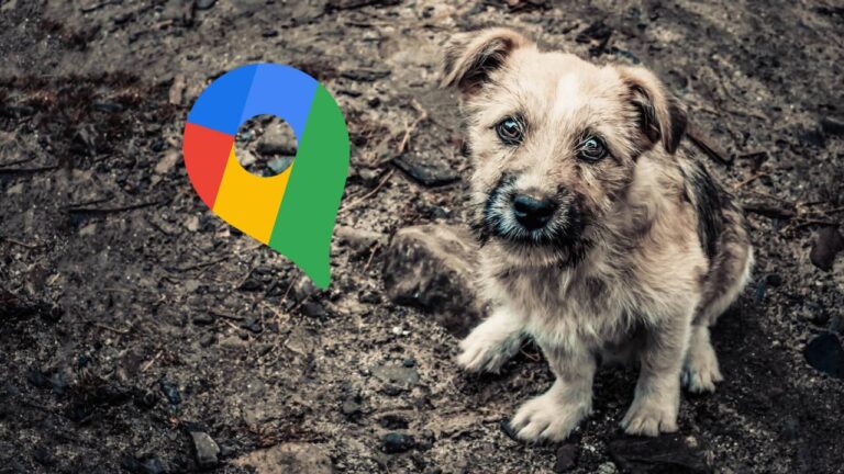 Tartışmalarla gündeme gelen Havrita’yla ilgili karar verildi!