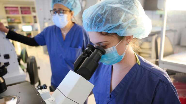 İnsan klonlama gerçek mi oluyor? Yeni bir yöntem keşfedildi