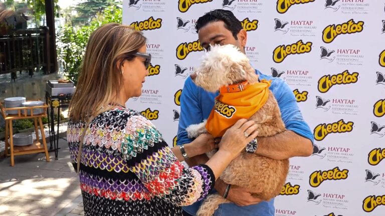 500 sokak hayvanını sahiplendirecek proje!