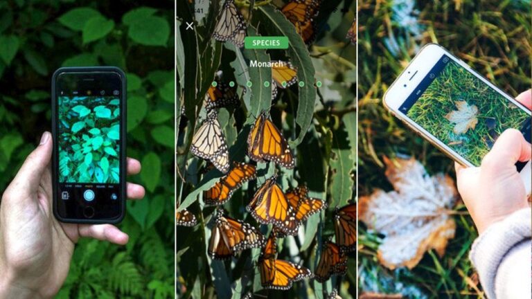 iPhone kameranız ile saniyeler içinde nesneleri tanıyabileceksiniz