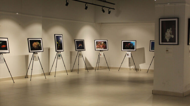 Sanatta akıllı telefon etkisi! Özgür Çabuk’un İşin Aslı sergisi başlıyor!