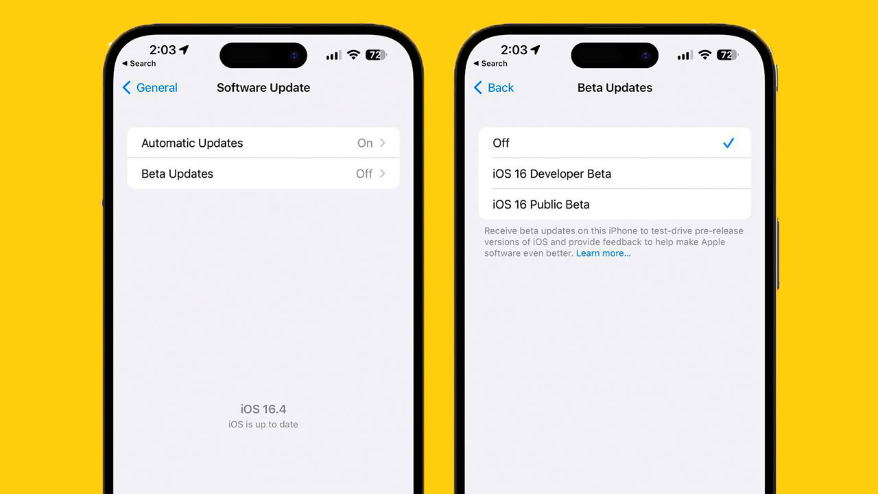 iOS 16.4 geliştirici beta