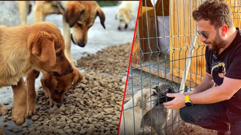 Ankara’da balık üretip, sürdürülebilirlik yaratan belediye!