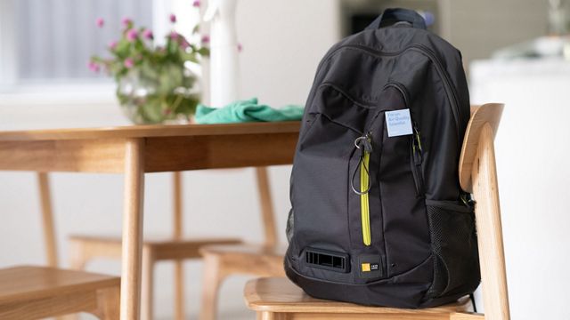Dyson Backpacks
