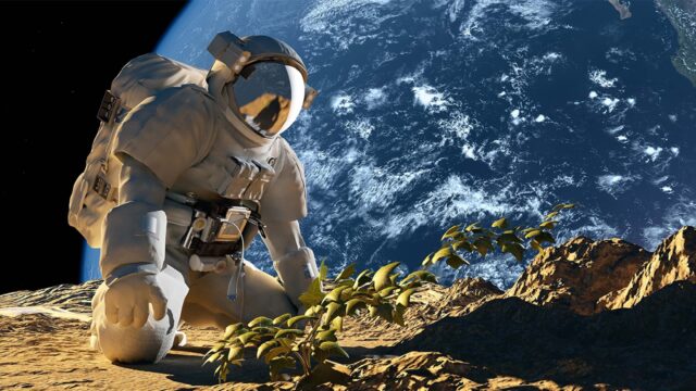 Scientists rolled up their sleeves: It's time to grow food on the Moon!