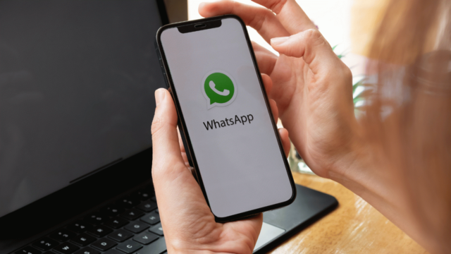 WhatsApp, sohbetlere renk katacak özelliği test etmeye başladı!