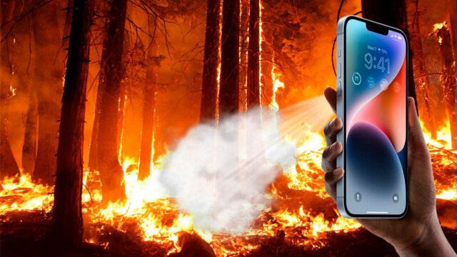 iPhone 14 ağaçların hayatını kurtardı!