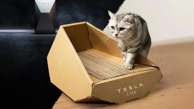 Musk ne yapmaya çalışıyor? Tesla ilginç bir ürün tanıttı!