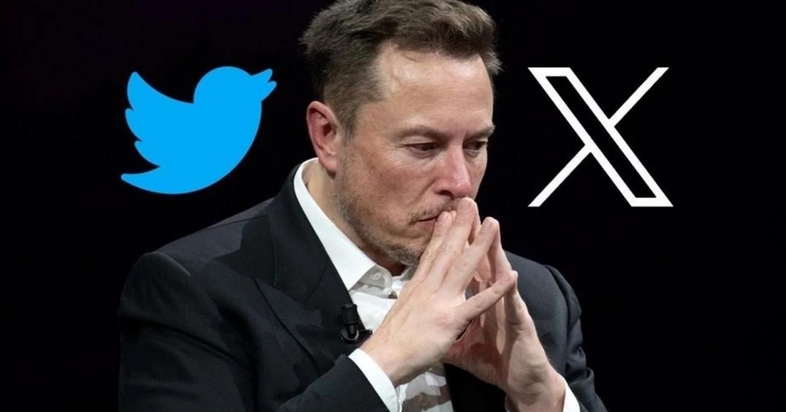 Elon Musk israil hamas