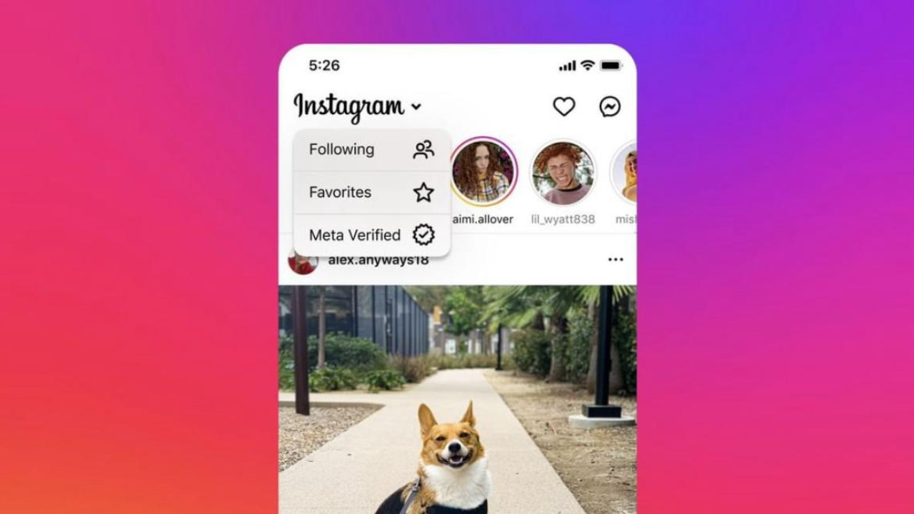 Instagram Meta Verified için özel akış