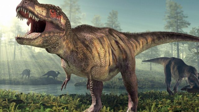 Tüm bildiklerinizi unutun Meğer dinozor neslinin tükenme nedeni farklıymış!