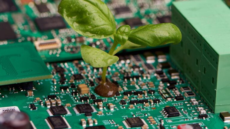 AZKarbon, sürdürülebilir yaşam için yeşil dönüşümü teşvik ediyor!