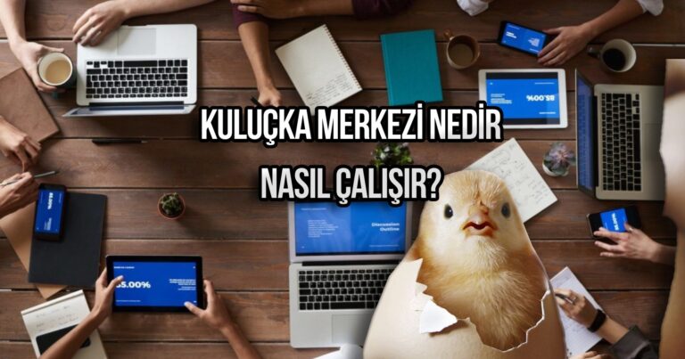 Kuluçka merkezi nedir ve nasıl çalışır? Yumurtadan civciv yetiştirmek!