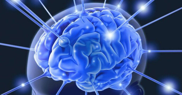 Anılar beyinde hareket ediyor! Peki nasıl?