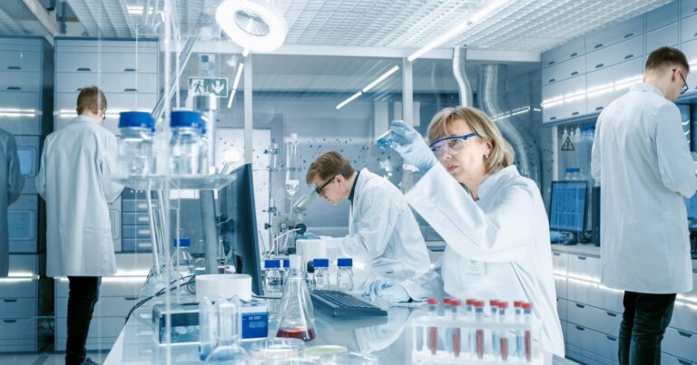 Bilim adamları şeffaf ahşap üretiyor! İşte nedeni