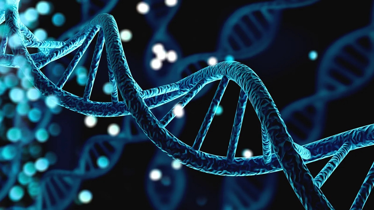 Bilim adamları yapay DNA üretmenin peşinde