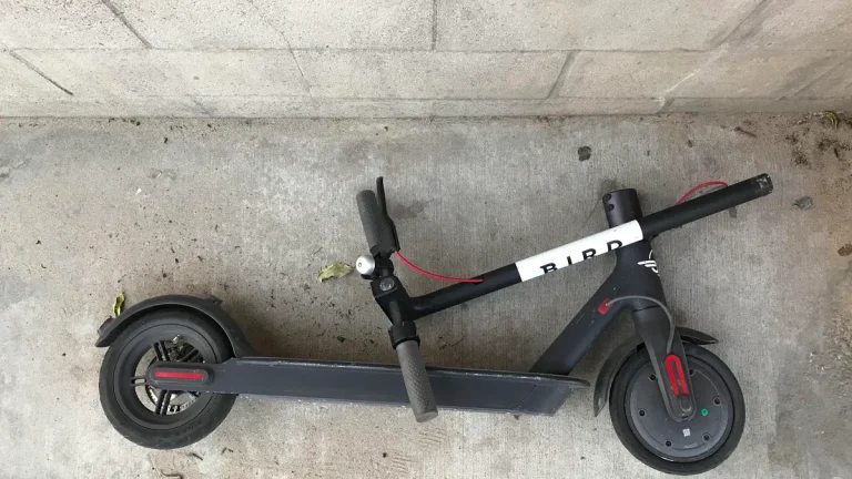 Kuş ölüyor! Scooter şirketi Bird’ten kötü haber