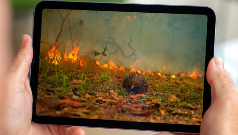OLED ekranlı iPad Mini çıkış tarihi belli oldu!