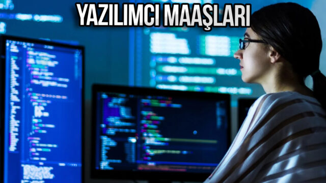 It has been revealed how much money software developers earn in Turkey!  – 2024