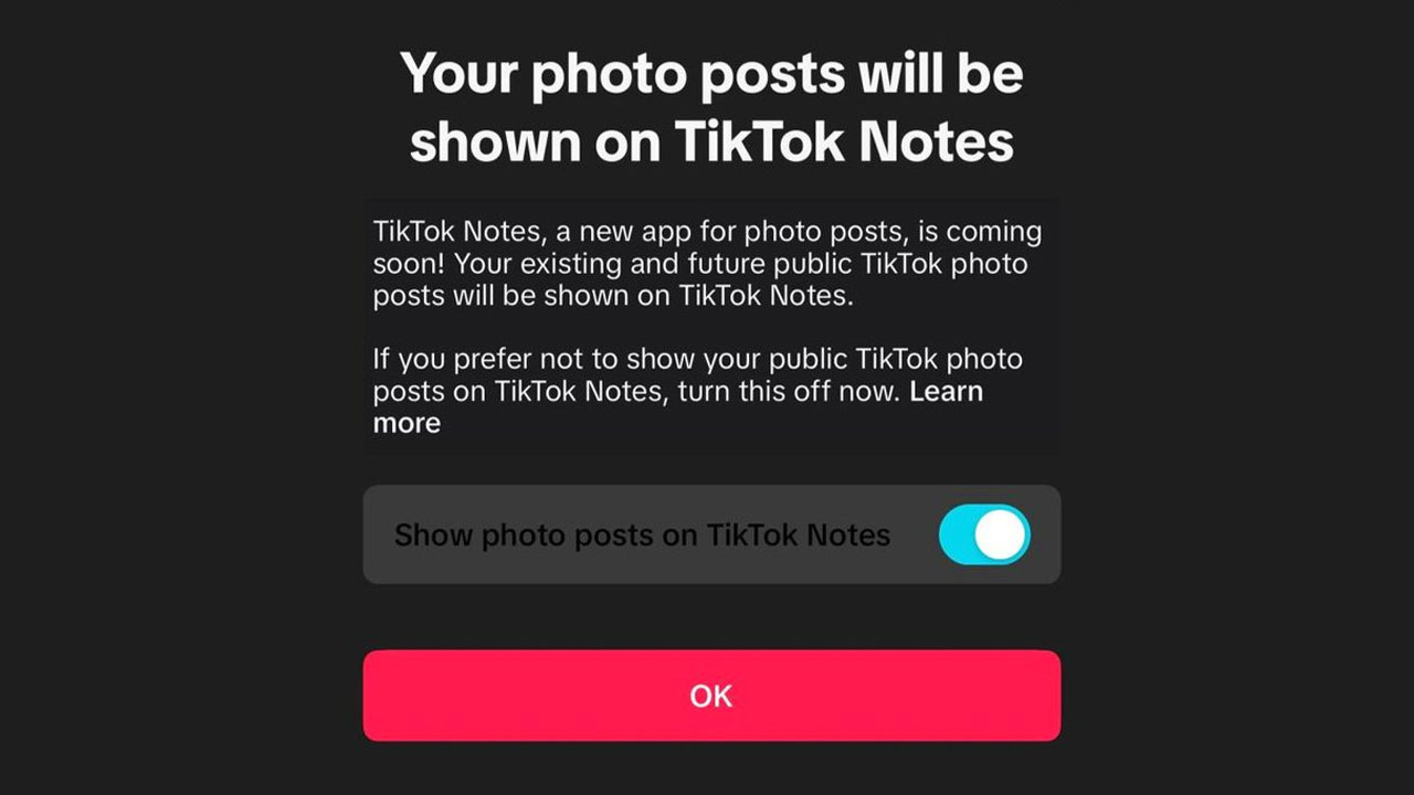 Instagram rival TikTok Notes