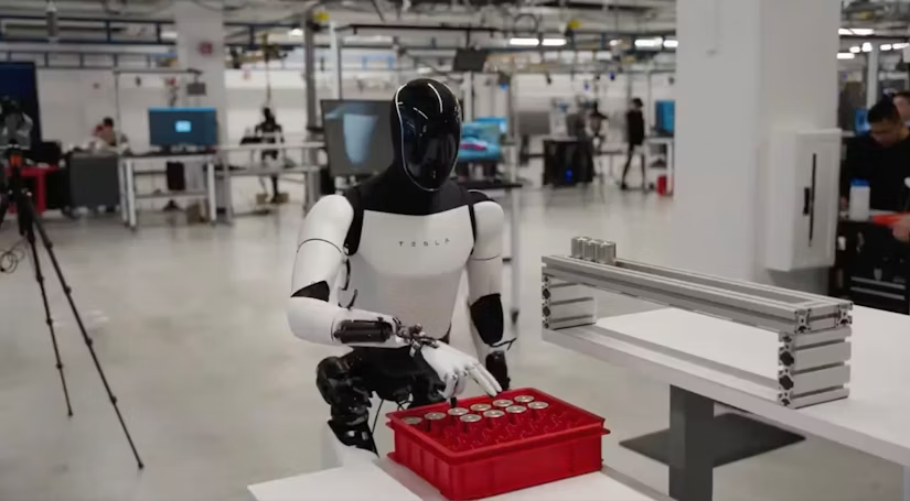 insansı robot Tesla Optimus