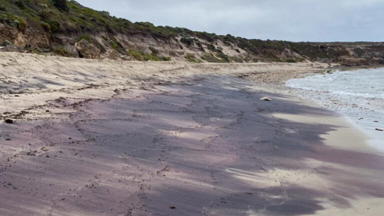 Antarktika’da gizemli dağlar ortaya çıktı!