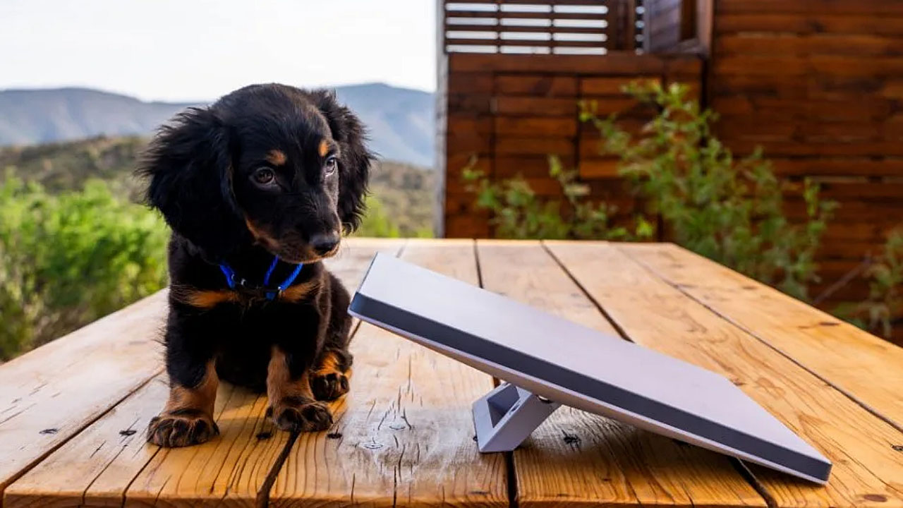 Starlink Mini Anteni Tan t ld ShiftDelete Net