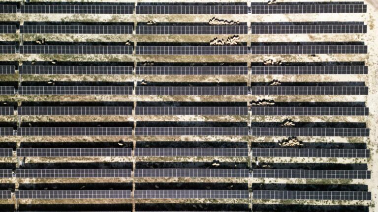 BM’den Türkiye’nin devasa güneş enerji santraline ziyaret!