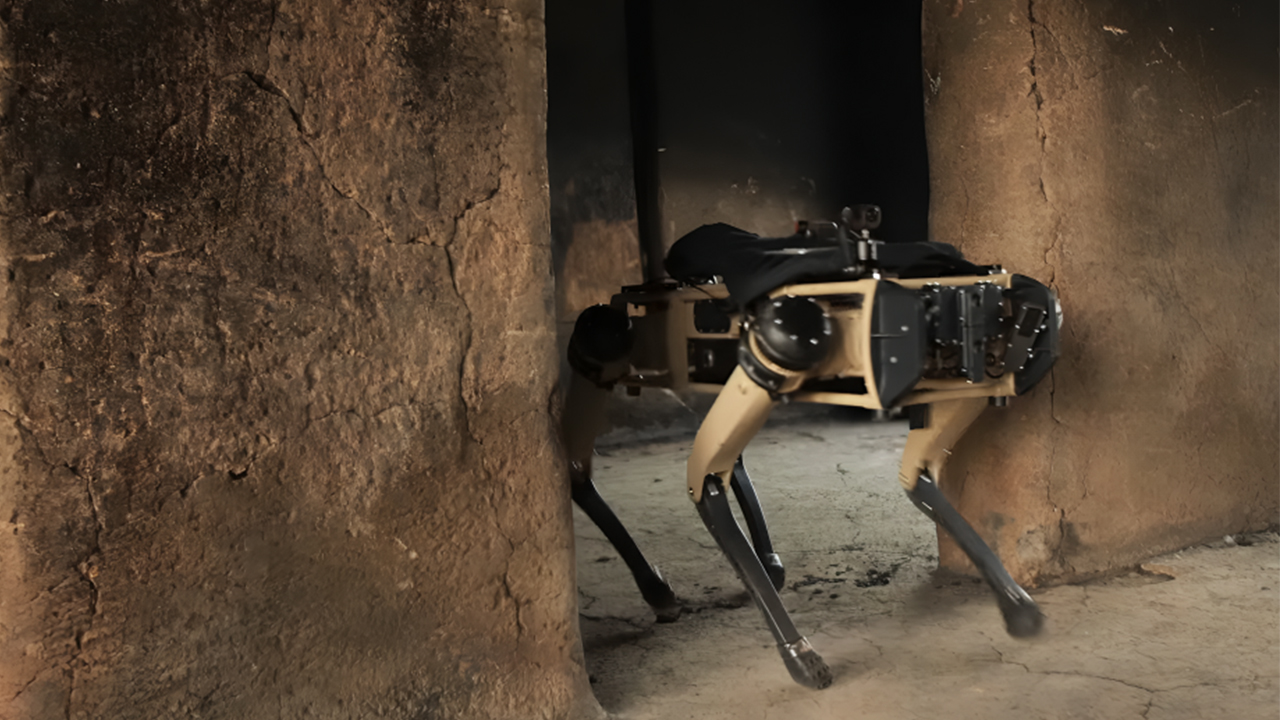 Yeni nesil güvenlik: Polis baskınlarında kullanılan robot köpekler