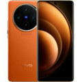 vivo X100