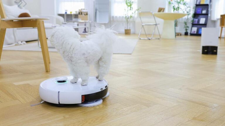 EZVIZ, yeni akıllı temizlik robotlarıyla Türkiye pazarına girdi!