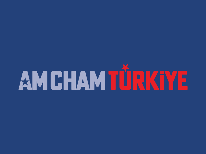 walmart-turkiyeye-geliyor-2