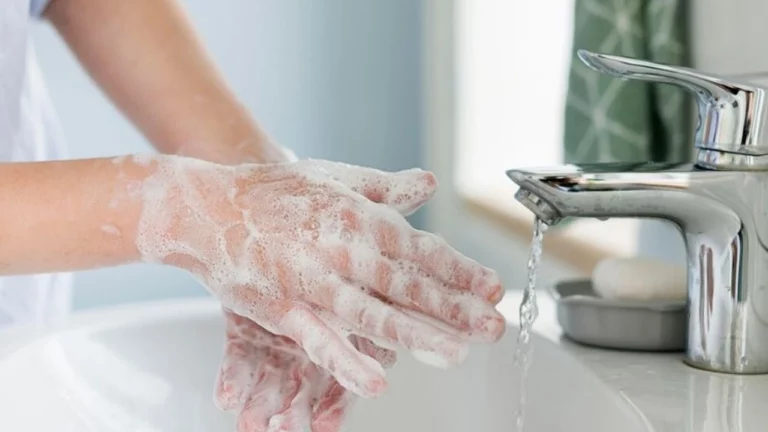 Hijyen belgesi nasıl alınır?