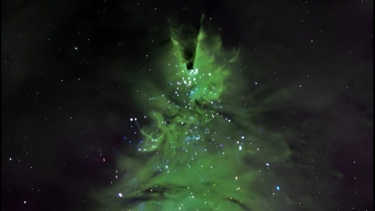 Uzaydaki yılbaşı ağacı görenleri hayrete düşürdü!