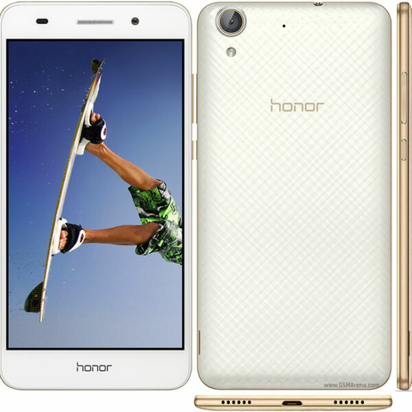 Honor Holly 3