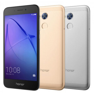 Honor Holly