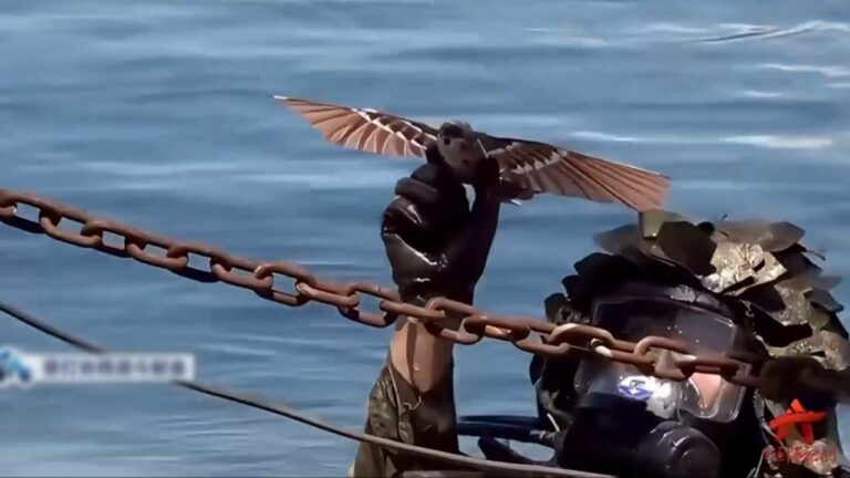 Çin’den küçük kuş kılığında küçük drone!