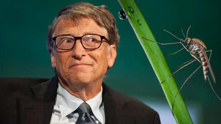 Bill Gates’in yapay sinekleri ortalığı karıştırdı