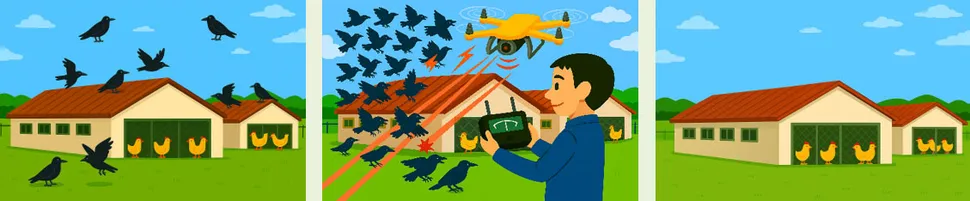 Drone Japonya kuş gribi