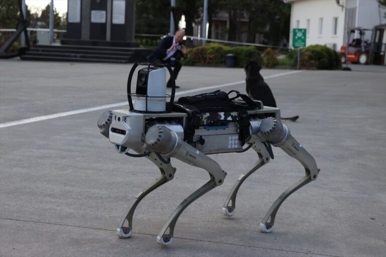 Yerli robot köpek geliştiriliyor